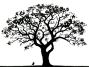 صورة وكلمات