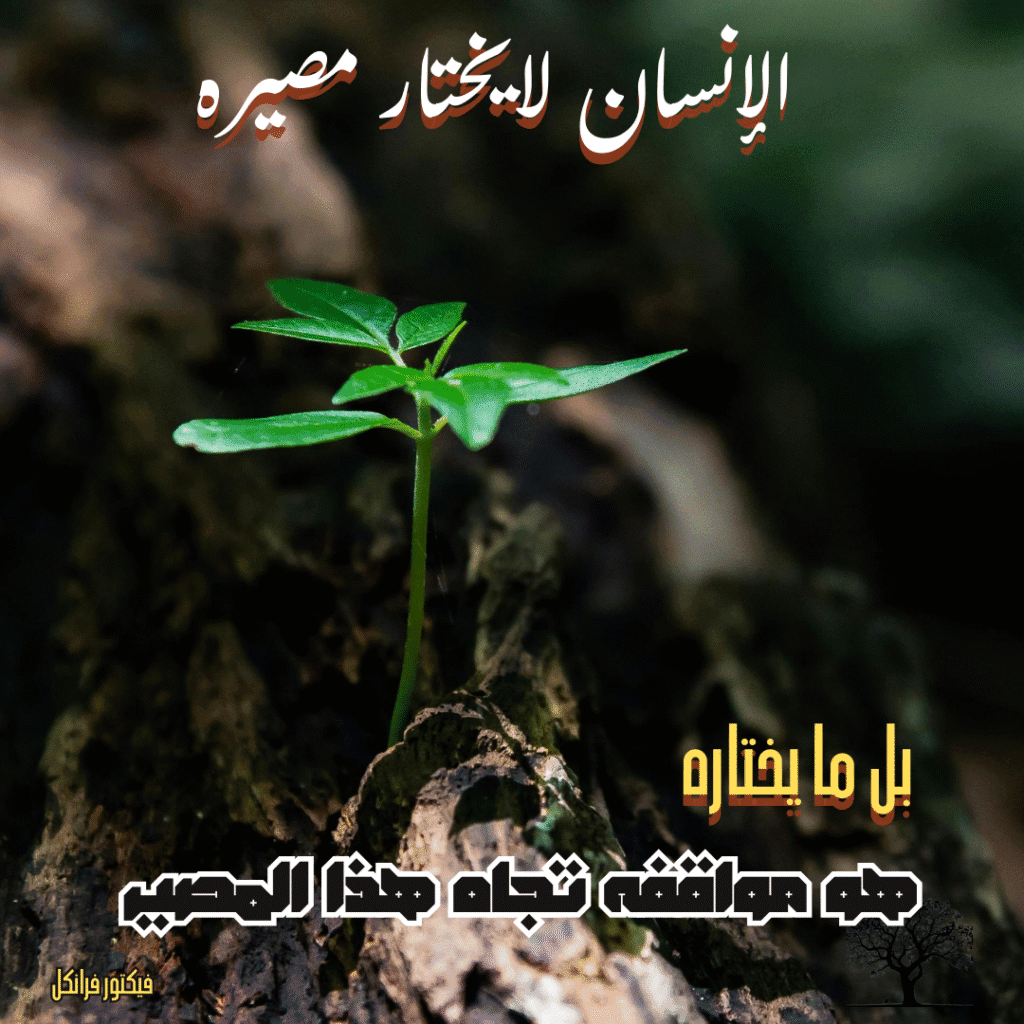 "بذور نباتات خضراء تنمو على جذع شجرة قديم - رمز للتكيّف مع الظروف واختيار المواقف الإيجابية رغم التحديات"