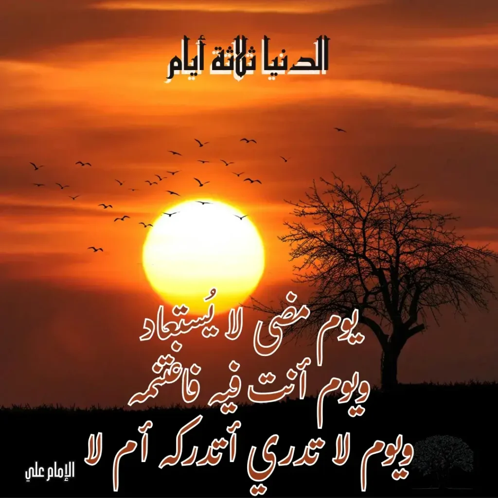 غروب الشمس مع شجرة جافة وطيور تطير، مع اقتباس للإمام علي حول الأيام الثلاثة: الماضي، الحاضر، والمستقبل.