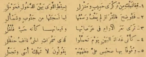 اللغة العربية الفصحى: أبيات شعرية