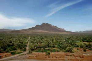 الزراعة في الصحراء