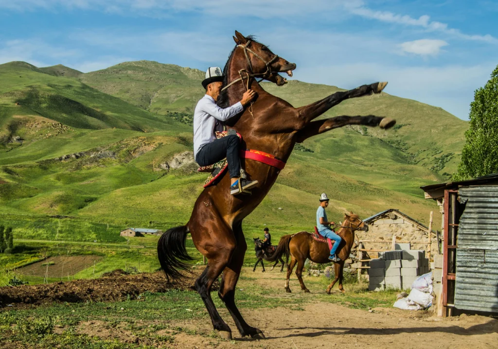 مجموعة من الفرسان يجوبون سهول ريف أولو بامير التركي على ظهور الخيل، مع خلفية جبلية وضوء صباحي ذهبي يكسو المشهد.