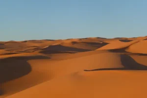عمر المختار: الصحراء الليبية
