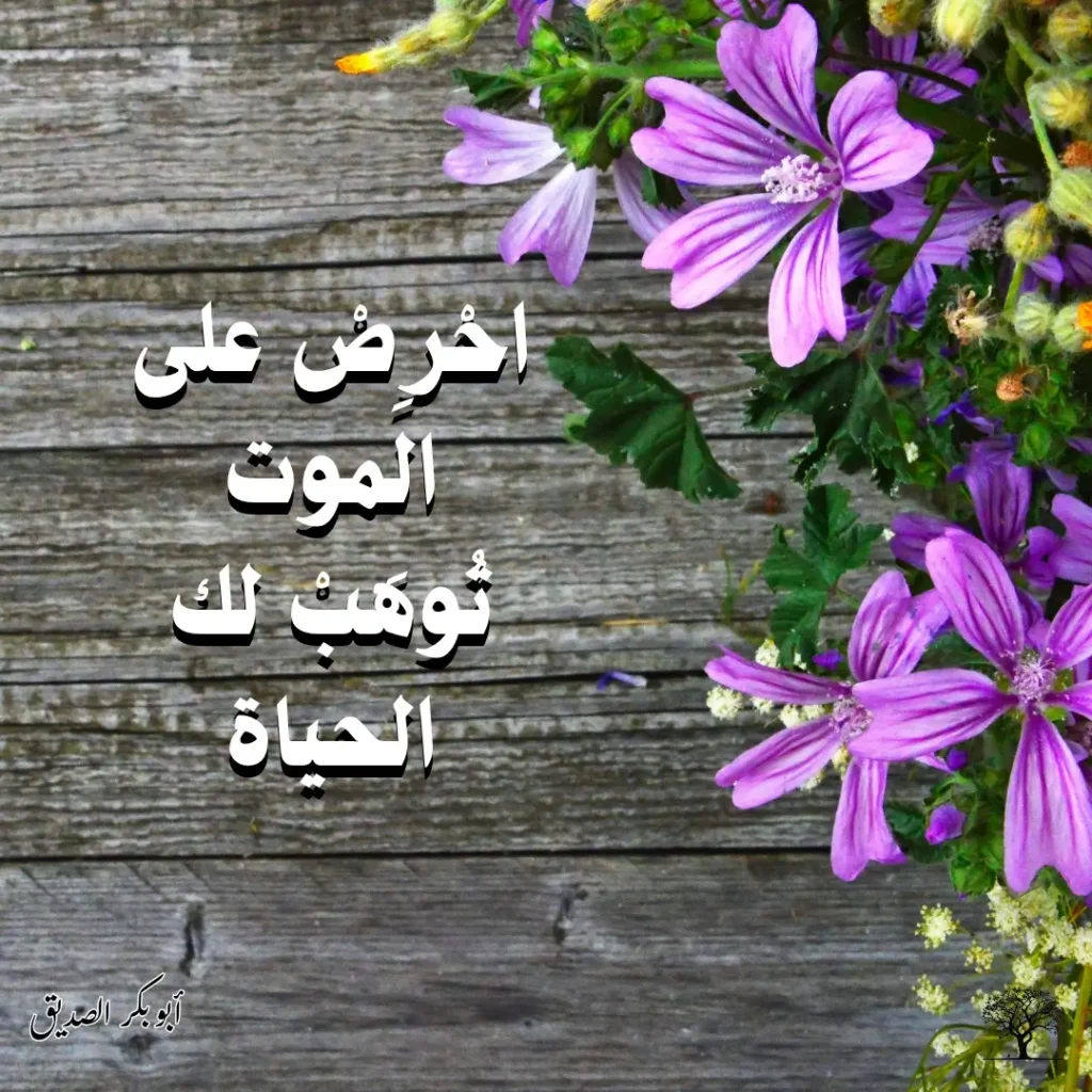 صورة على خلفية خشبية رمادية مزينة بأزهار بنفسجية، مكتوب عليها اقتباس "احرص على الموت تُوهب لك الحياة" منسوب لأبي بكر الصديق.