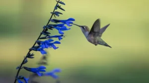 التقنيات المتقدمة في الإبداع البصري