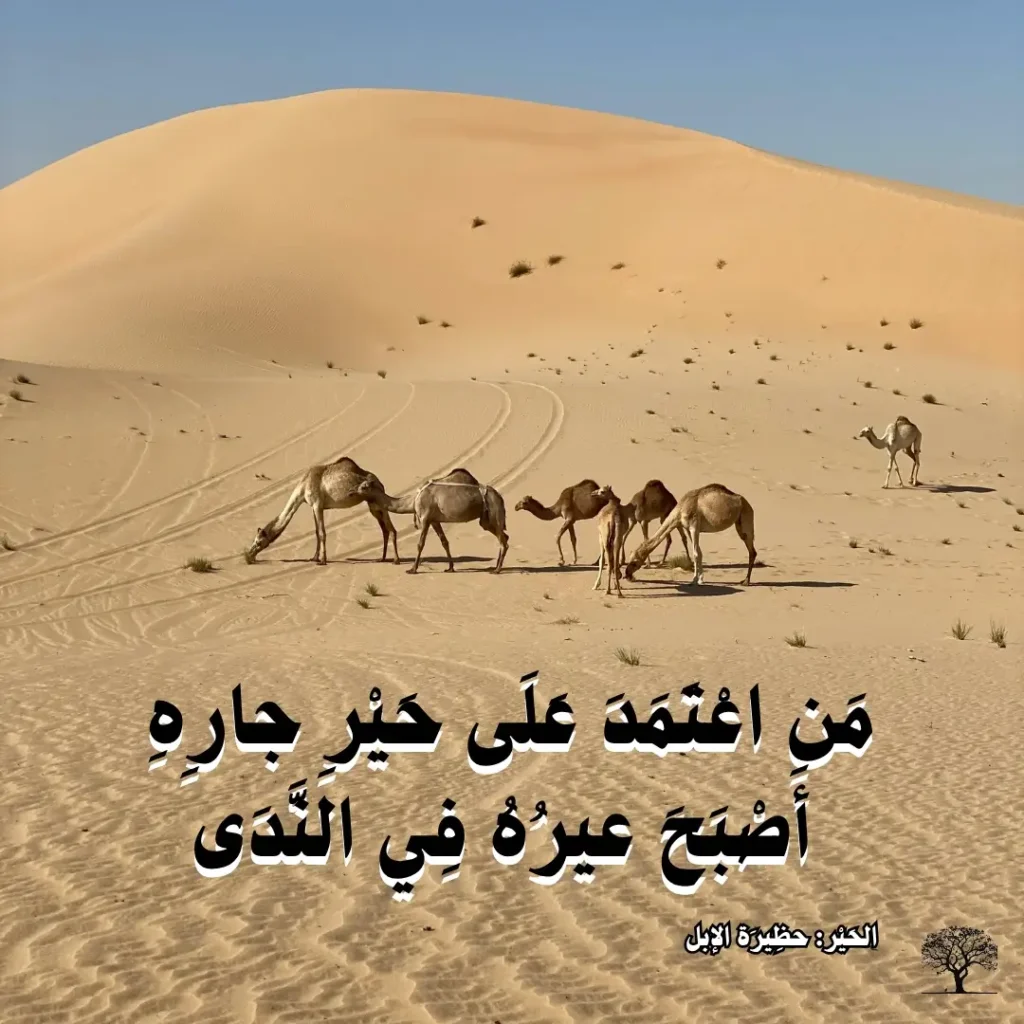 مجموعة من الجمال تسير في صحراء واسعة مع مثل عربي مكتوب عليها: من اعتمد على حير جاره أصبح عيره في الندى.