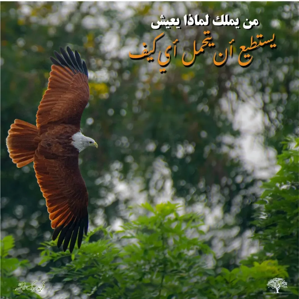 صورة نسر يحلق في السماء مع اقتباس فلسفي لنيتشه: من يملك لماذا يعيش يستطيع أن يتحمل أي كيف