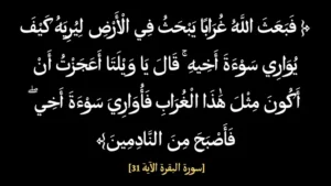 غراب ابني آدم: الطائر