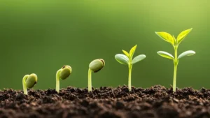 العادات الذرية: التقدم الحقيقي