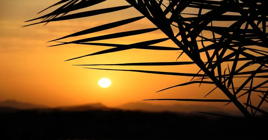 صورة نخيل عند غروب الشمس أمام الجبال، ترمز إلى السكينة والإيمان العميق في قصة مريم ابنة عمران.