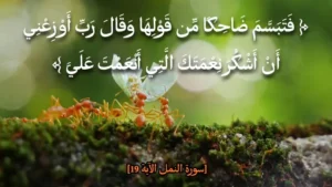 الملك الذي سمع همس النملة