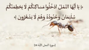 نملة سليمان: صرخة التحذير