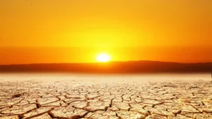 الأمن الغذائي: التحديات الرئيسية