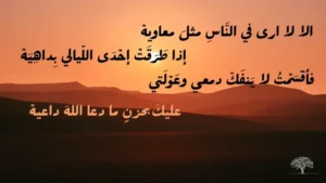 الخنساء: جماليات الرثاء