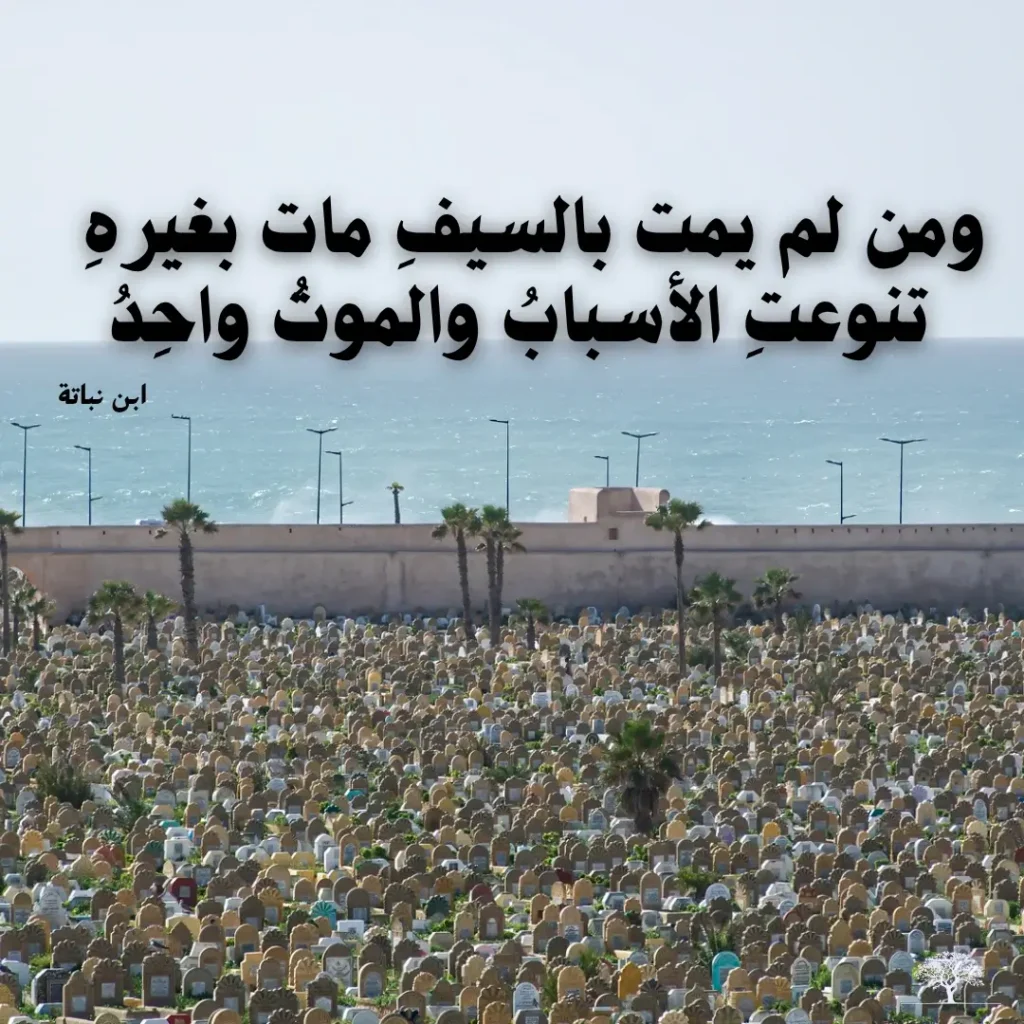 صورة لمقبرة تطل على البحر مع اقتباس من ابن نباتة يقول: ومن لم يمت بالسيف مات بغيره، تنوعت الأسباب والموت واحد.