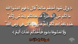 ناقة صالح: المعجزة المطلوبة