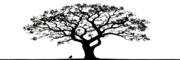 "شجرة كبيرة مرسومة بالأسود على خلفية بيضاء، تتدلّى فروعها بشكل واسع وتشكل رمزًا بصريًا لشعار مدونة صورة وكلمات."
