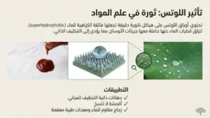 أوراق اللوتس