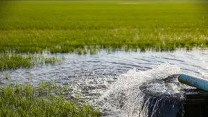 مستقبل مستدام