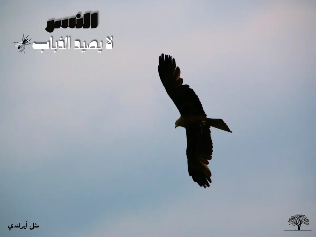 نسر محلّق في السماء يرمز إلى العزة والترفع مع اقتباس يقول: النسر لا يصيد الذباب
