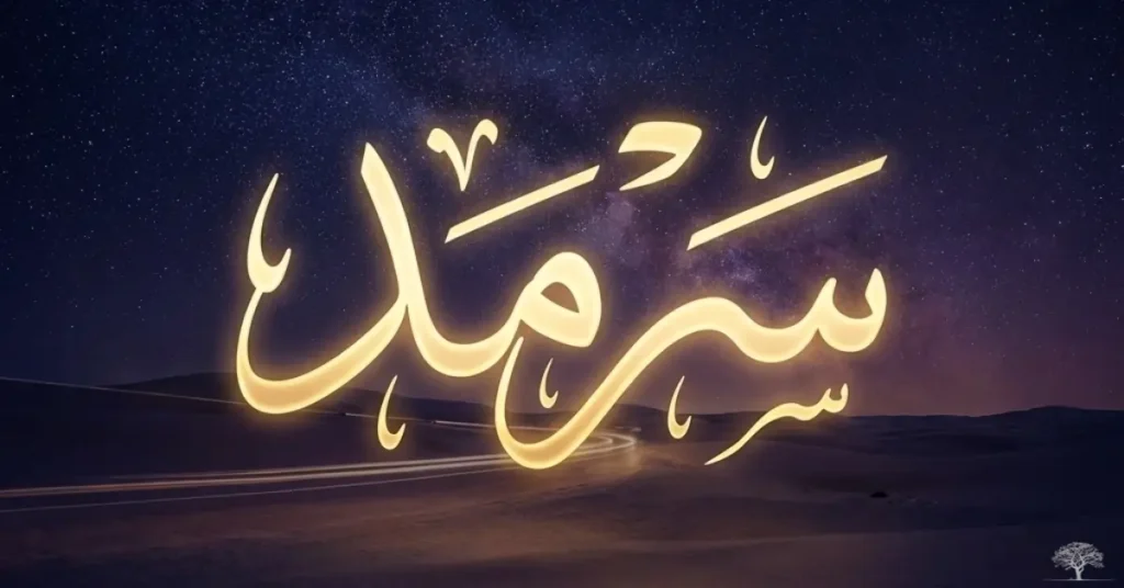 كلمة «السَّرْمَد» مكتوبة بخط عربي مضيء فوق صحراء ليلية تحت سماء مرصعة بالنجوم، في مشهد رمزي يوحي بالخلود والامتداد الزمني الذي لا ينقطع.