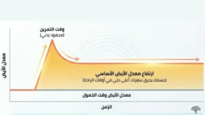 الوزن والتمثيل الغذائي