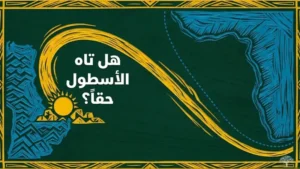 هل تاه الأسطول حقاً؟