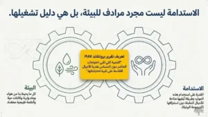 حين نتحدث عن البيئة والاستدامة