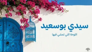 السياحة في تونس: سيدي بوسعيد