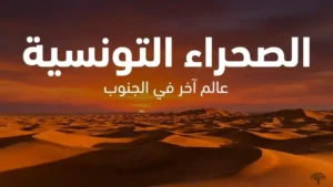 الصحراء التونسية