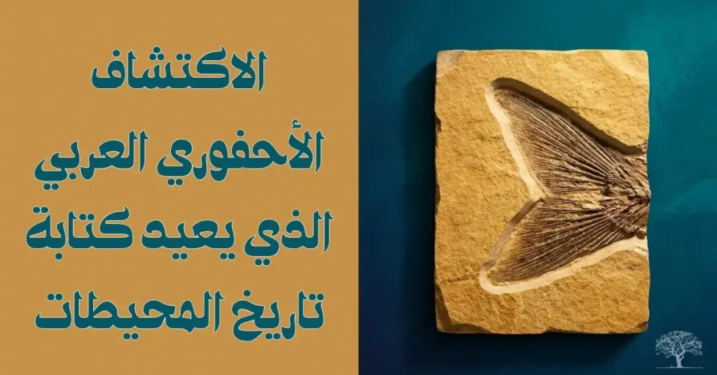 أحفورة سمكة بحرية محفوظة داخل صخرة رسوبية، تمثل اكتشافًا علميًا يساهم في فهم تطور الحياة البحرية وتاريخ المحيطات القديمة.