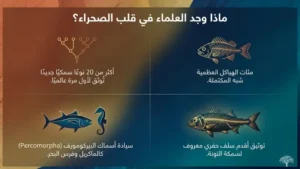 الاكتشاف الأحفوري: ماذا وجد العلماء في قلب الصحراء؟