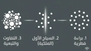 حالة الطبيعة عند روسو