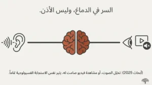 الميزوفونيا: طرق العلاج والتعايش