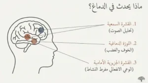 الأسباب العصبية والجينية لـ"حساسية الأصوات"