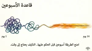 طريقة جديدة لمدة أسبوعين