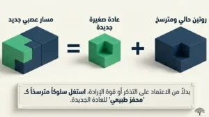 تكديس العادات