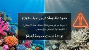 الشعاب المرجانية في البحر الأحمر: حدود المقاومة