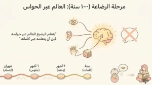 مراحل نمو الطفل: مرحلة الرضاعة