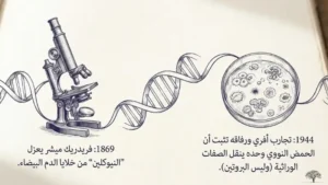 من اكتشف الحمض النووي؟