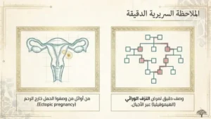 الزهراوي: الحمل خارج الرحم